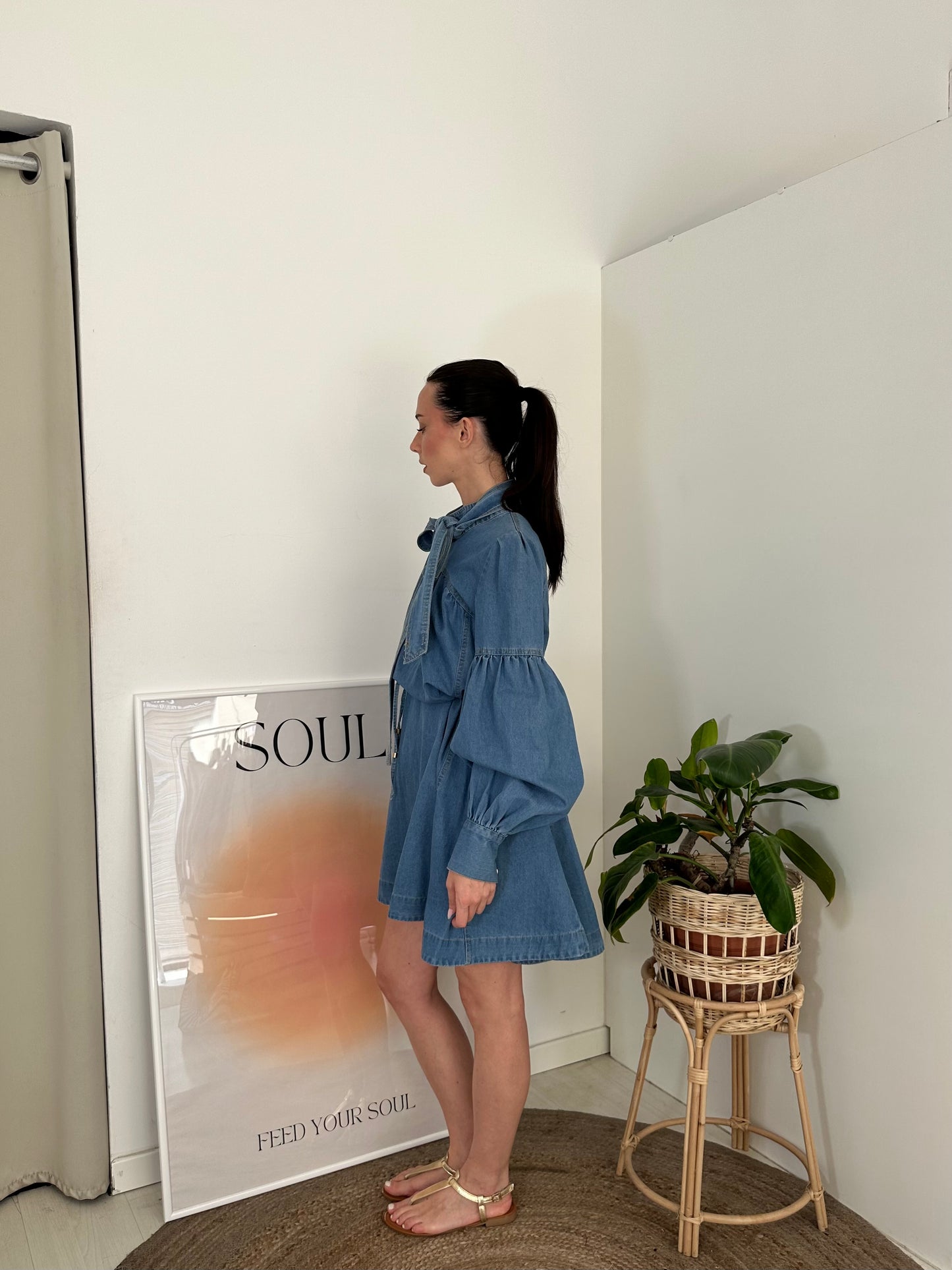 Denim Dress Paris