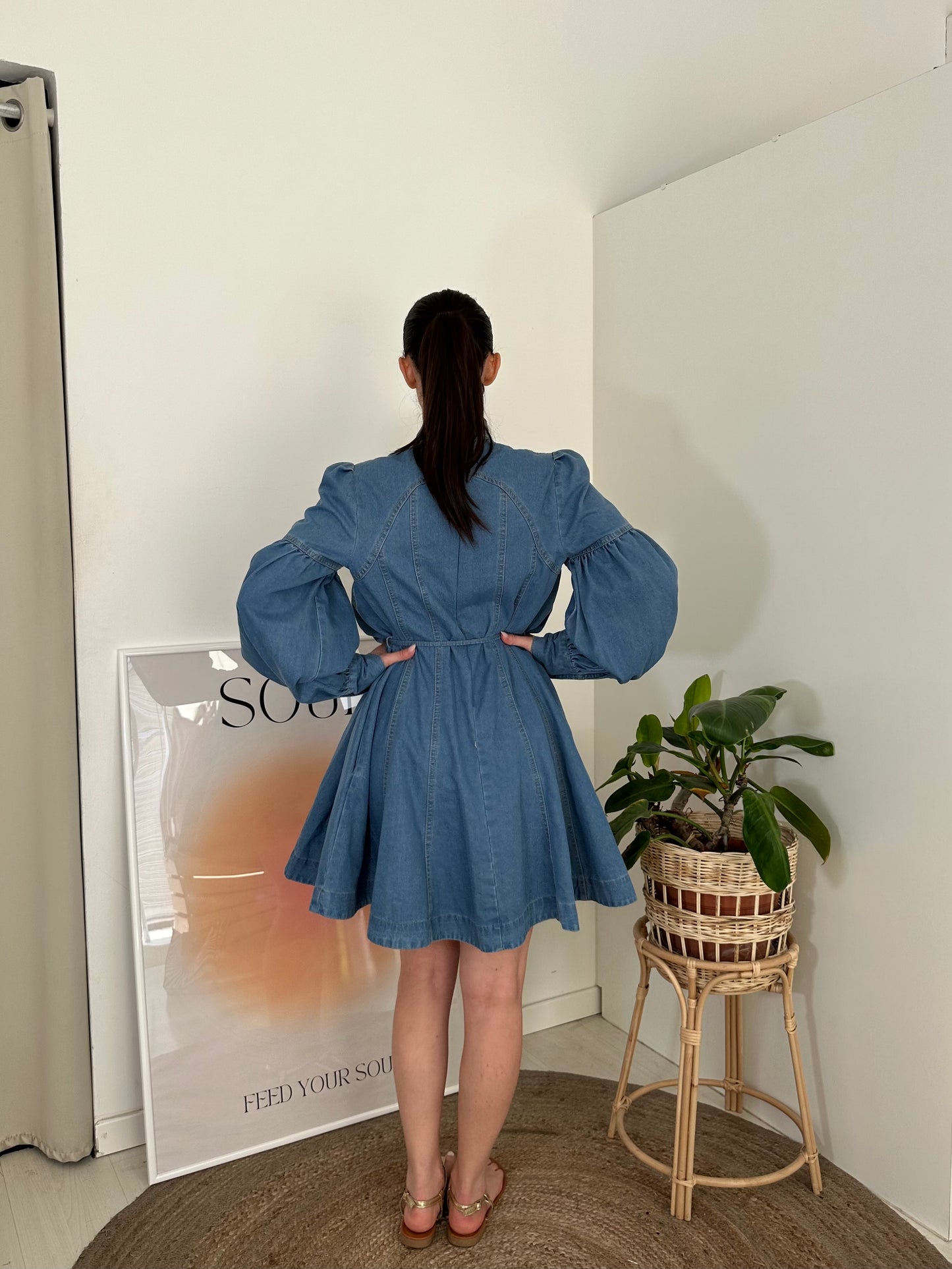 Denim Dress Paris