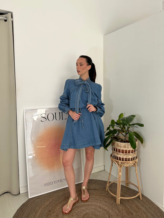 Denim Dress Paris